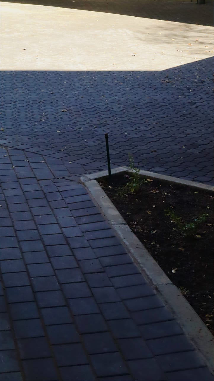 landscaping