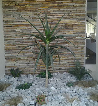 landscaping