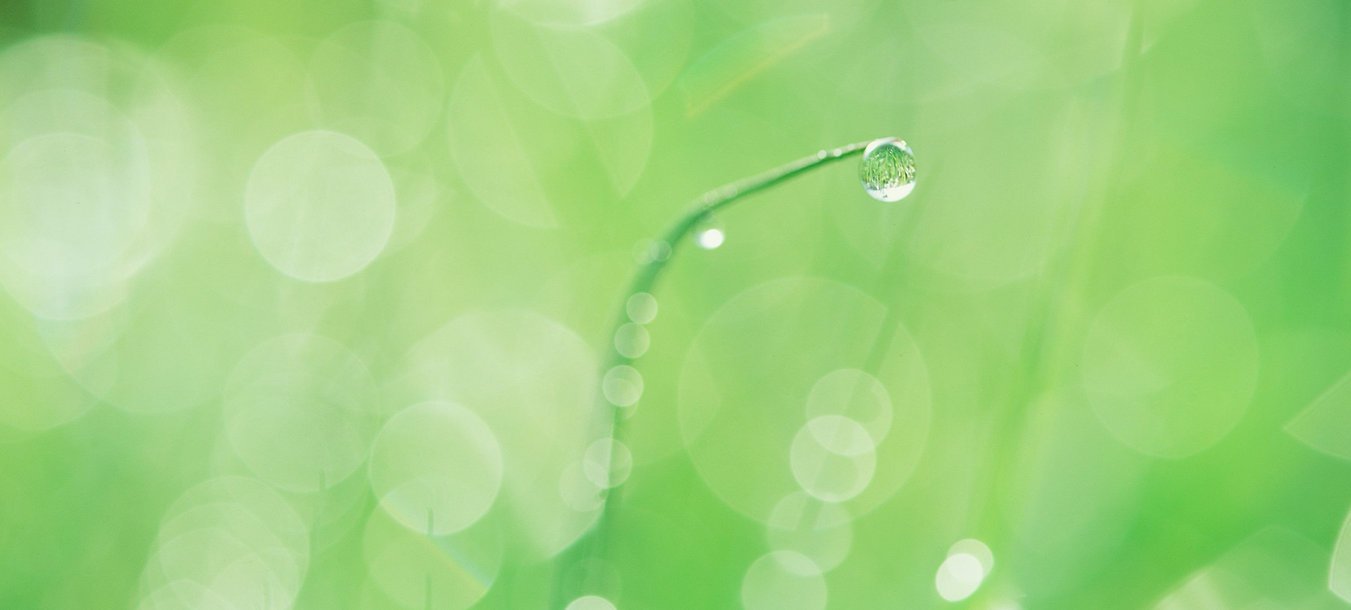 irrigation
